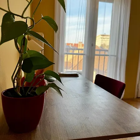 Bed & Breakfast Extralarge Queen In The Heart Of With Terrace Bratislava